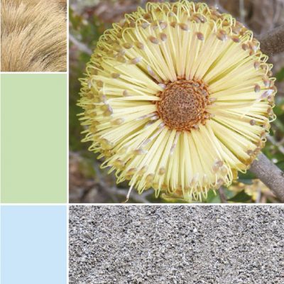 Natural State Holidays